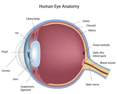 Retina Conditions & Diseases Austin, Texas